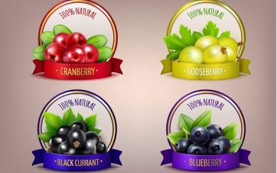 Top 10 Công Ty In Ấn Tem Logo Decal Uy Tín Tại TPHCM